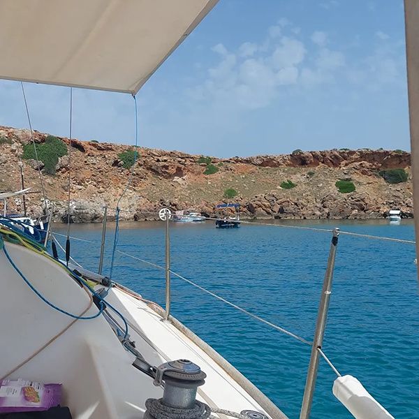 Beneteau First 31.7 | Avispa 3