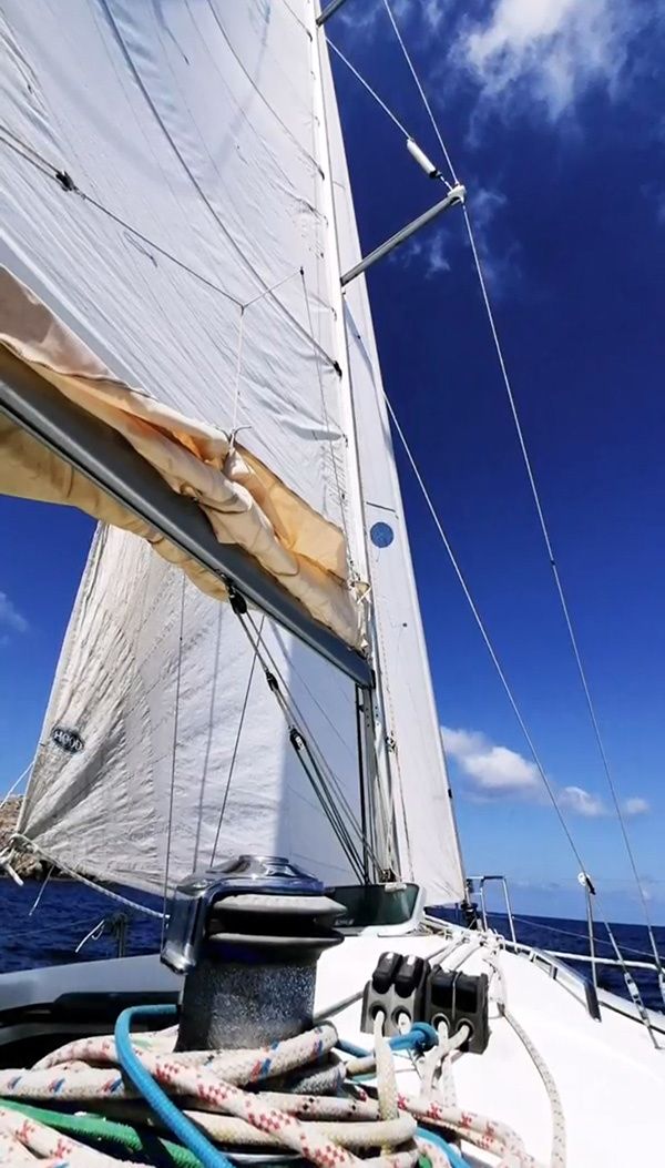 Beneteau First 31.7 | Avispa 3