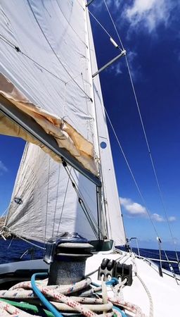 Beneteau First 31.7 | Avispa 3