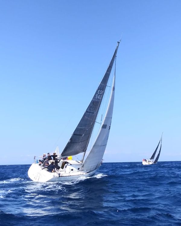Beneteau First 31.7 | Avispa 3