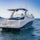 Sea Ray 260 | La Buena Vida