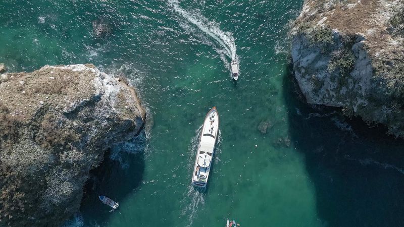 Broward 110 | Amixtli