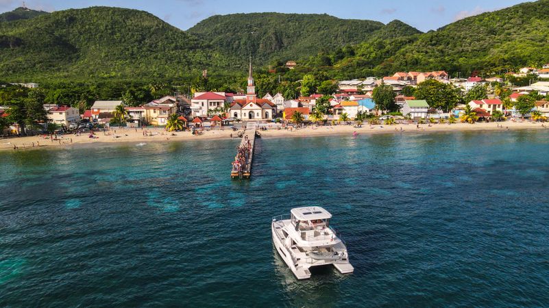 Leopard 43 PC | Dreamea