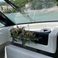 Jeanneau Merry Fisher 695 | Sunny Day