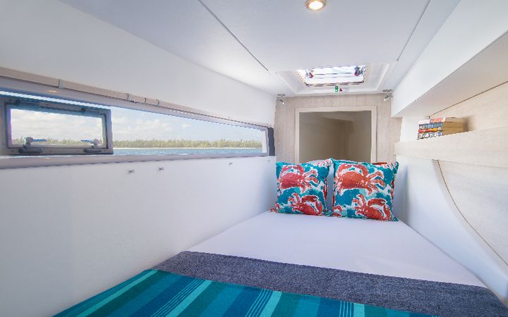 Leopard 43 PC | Virginea