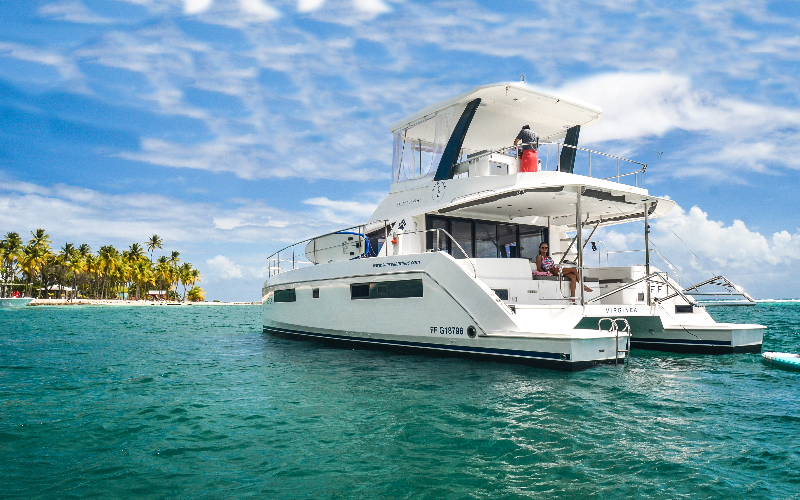 Leopard 43 PC | Virginea