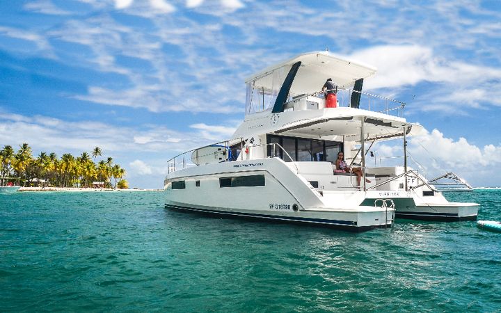 Leopard 43 PC | Virginea