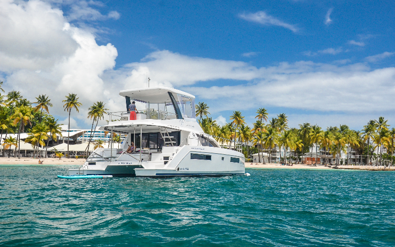 Leopard 43 PC | Virginea