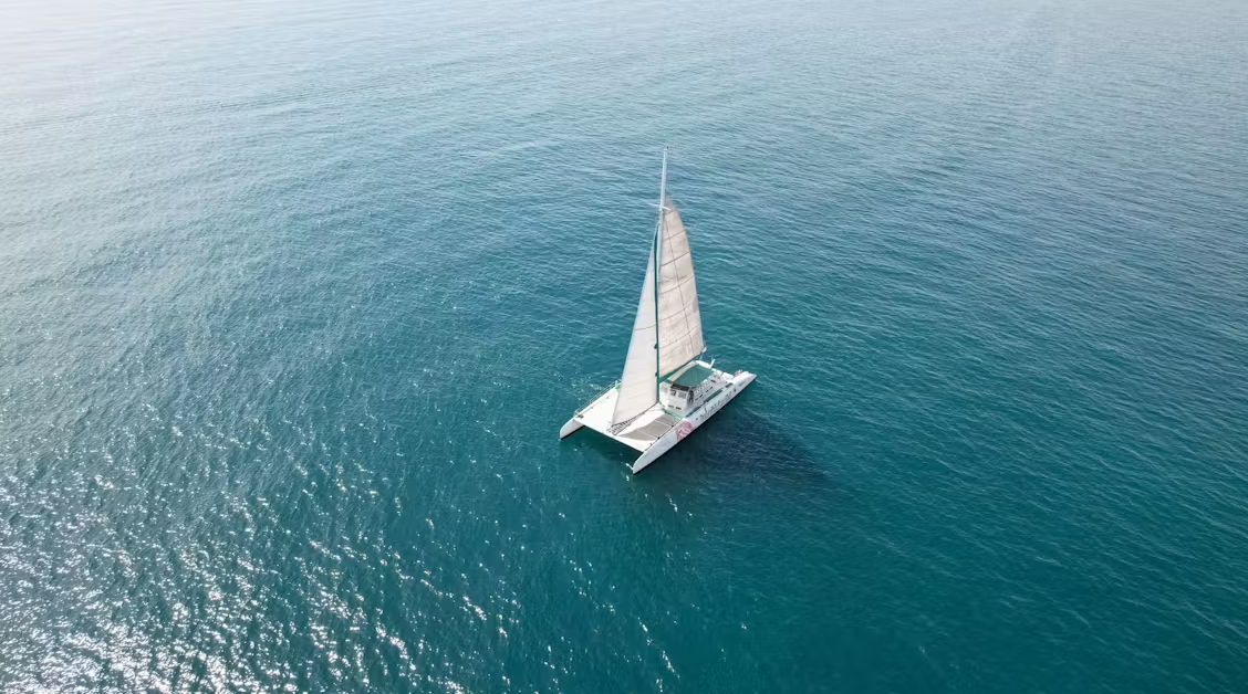 Custom Built Cim 82 | Magic
