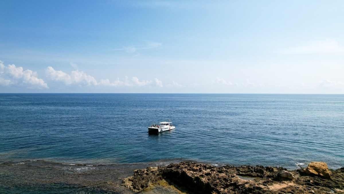 Custom Built 47 | Mascalzone