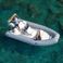 Italboats 540 | Due