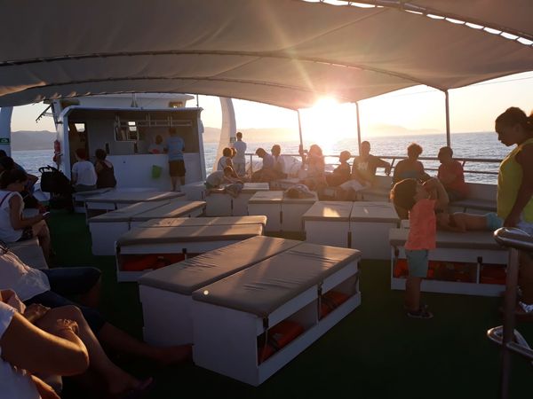 Custom Built Superior | Estrella Fugaz