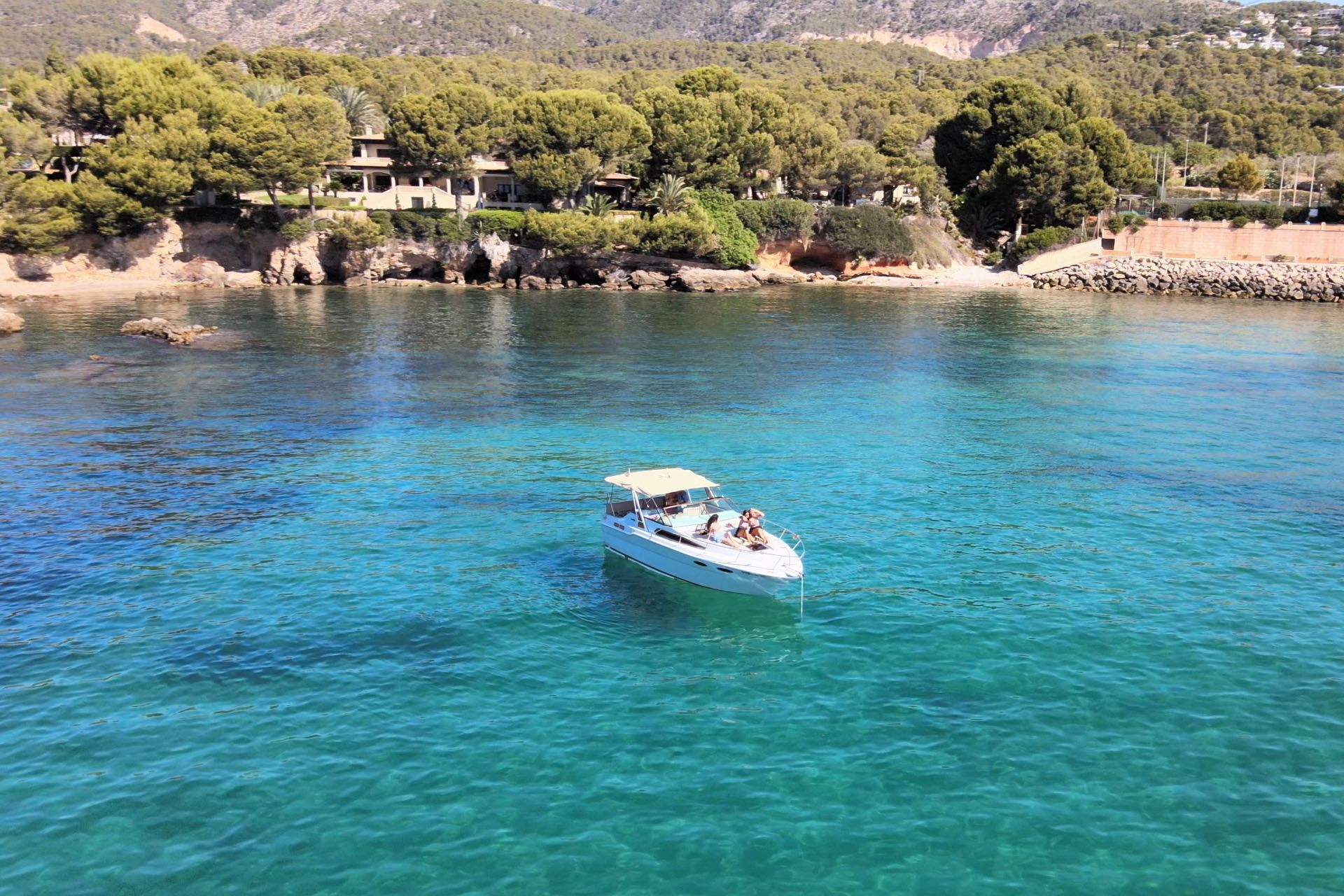 Sea Ray 300 | Chipirón