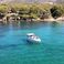 Sea Ray 300 | Chipirón