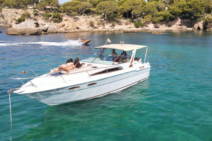 Sea Ray 300 | Chipirón