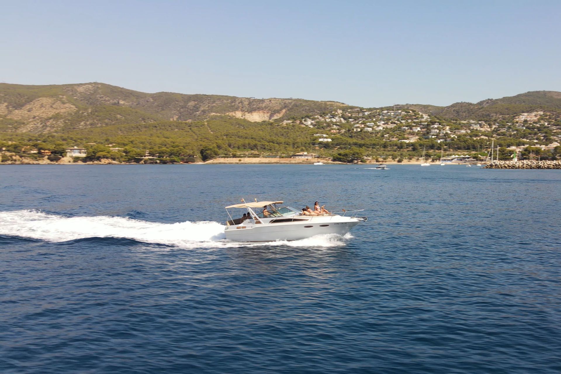 Sea Ray 300 | Chipirón