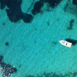 Sea Ray 300 | Chipirón