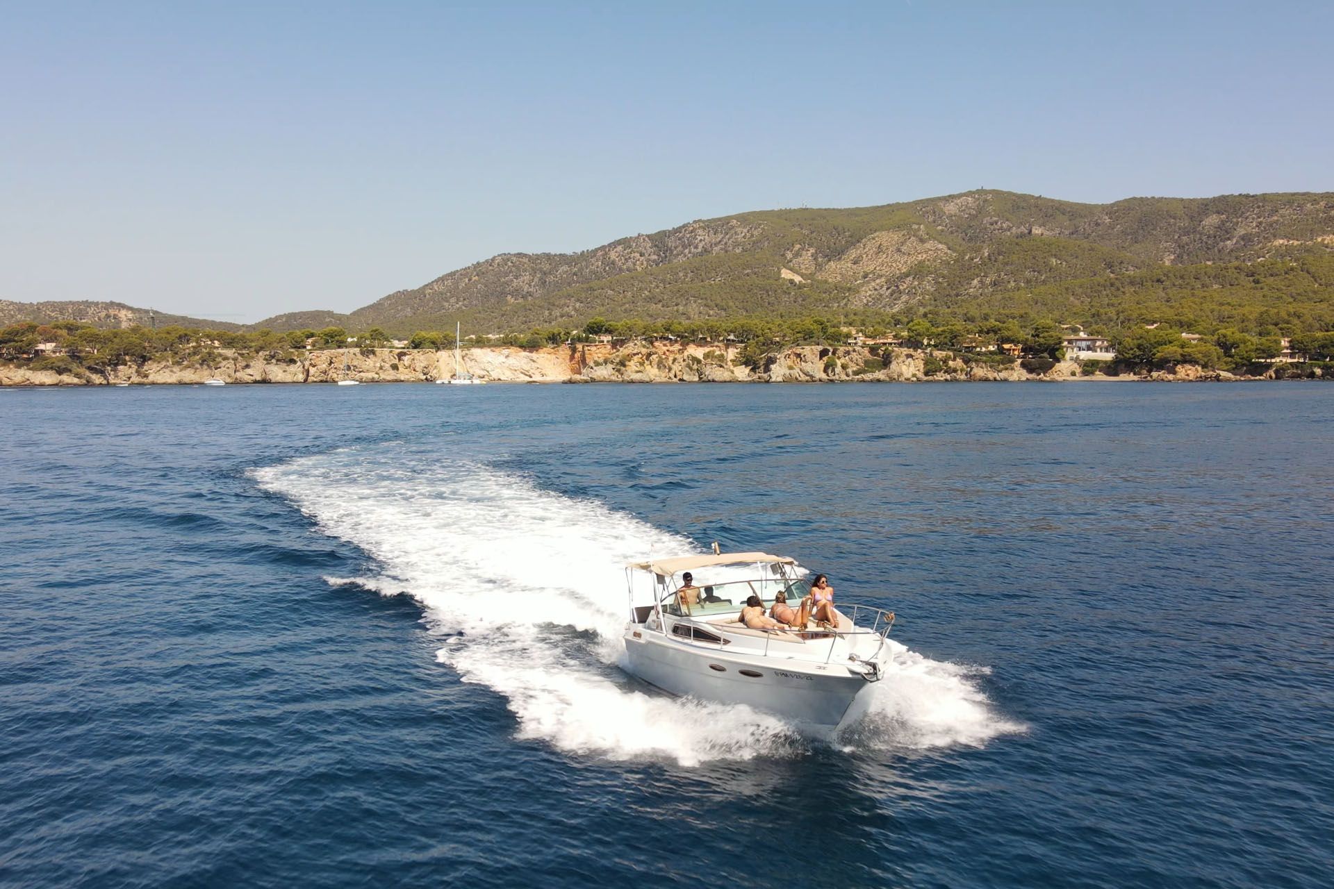 Sea Ray 300 | Chipirón