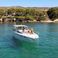 Sea Ray 300 | Chipirón
