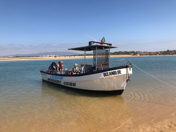 Silcar 700 | OceanBlue