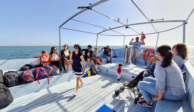 Schat Harding MPC-36 | Venture