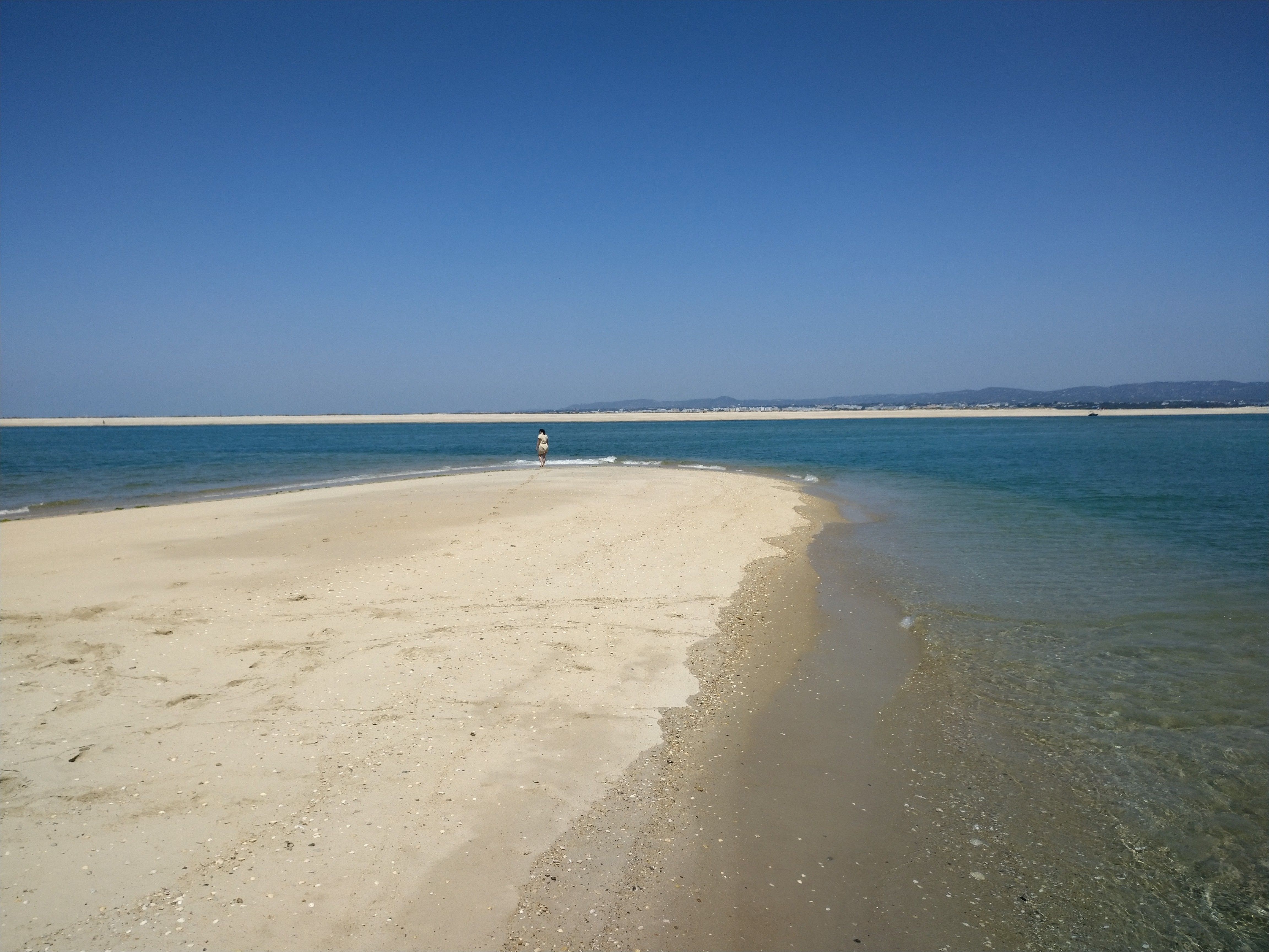 Schat Harding MPC-36 | Venture