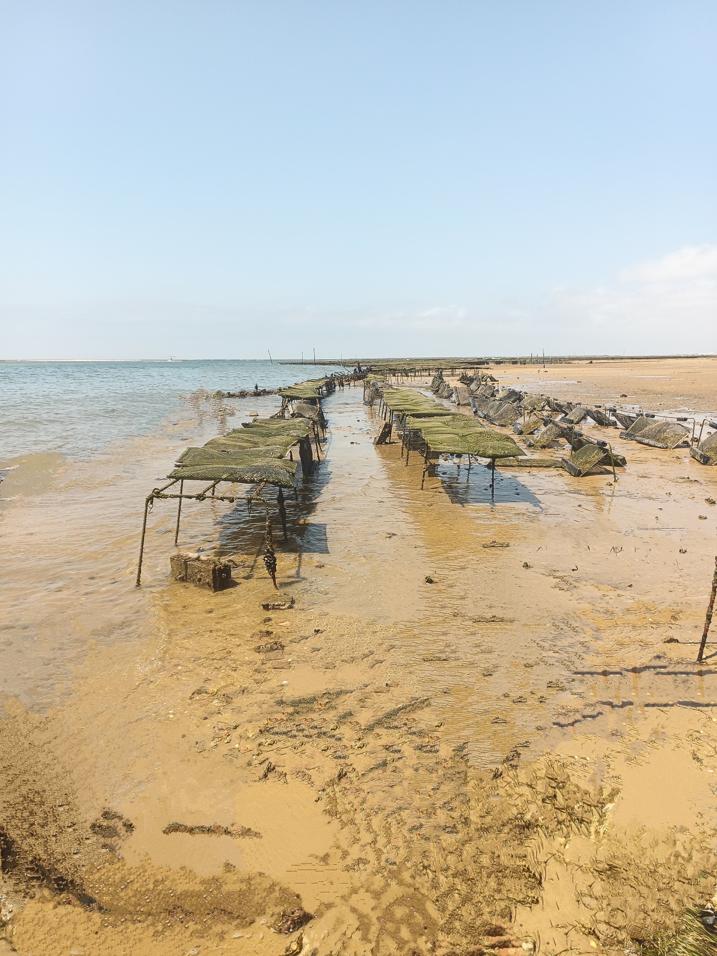 Schat Harding MPC-36 | Venture