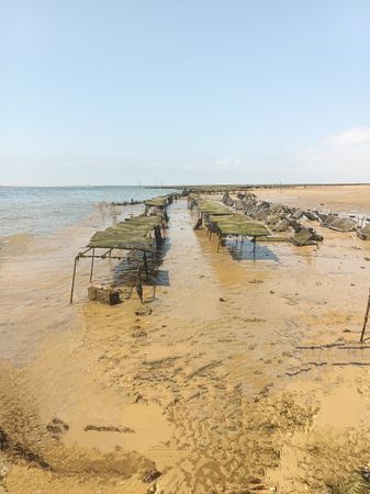 Schat Harding MPC-36 | Venture