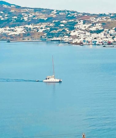 Keenex Pro 445 | Niritis