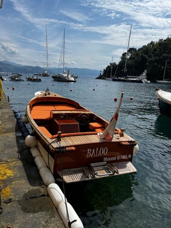 Mussini Giorgio Utility 748 | Baloo