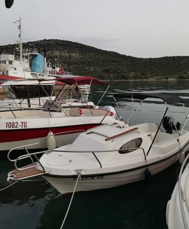 Adria 500 | 272378 TG