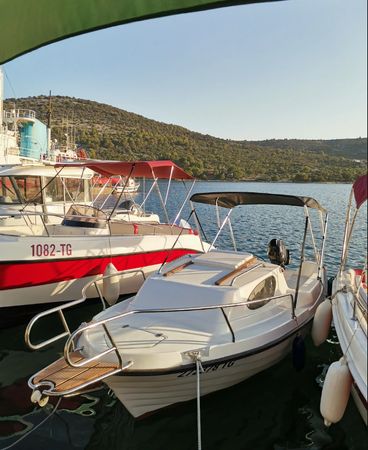 Adria 500 | 272378 TG