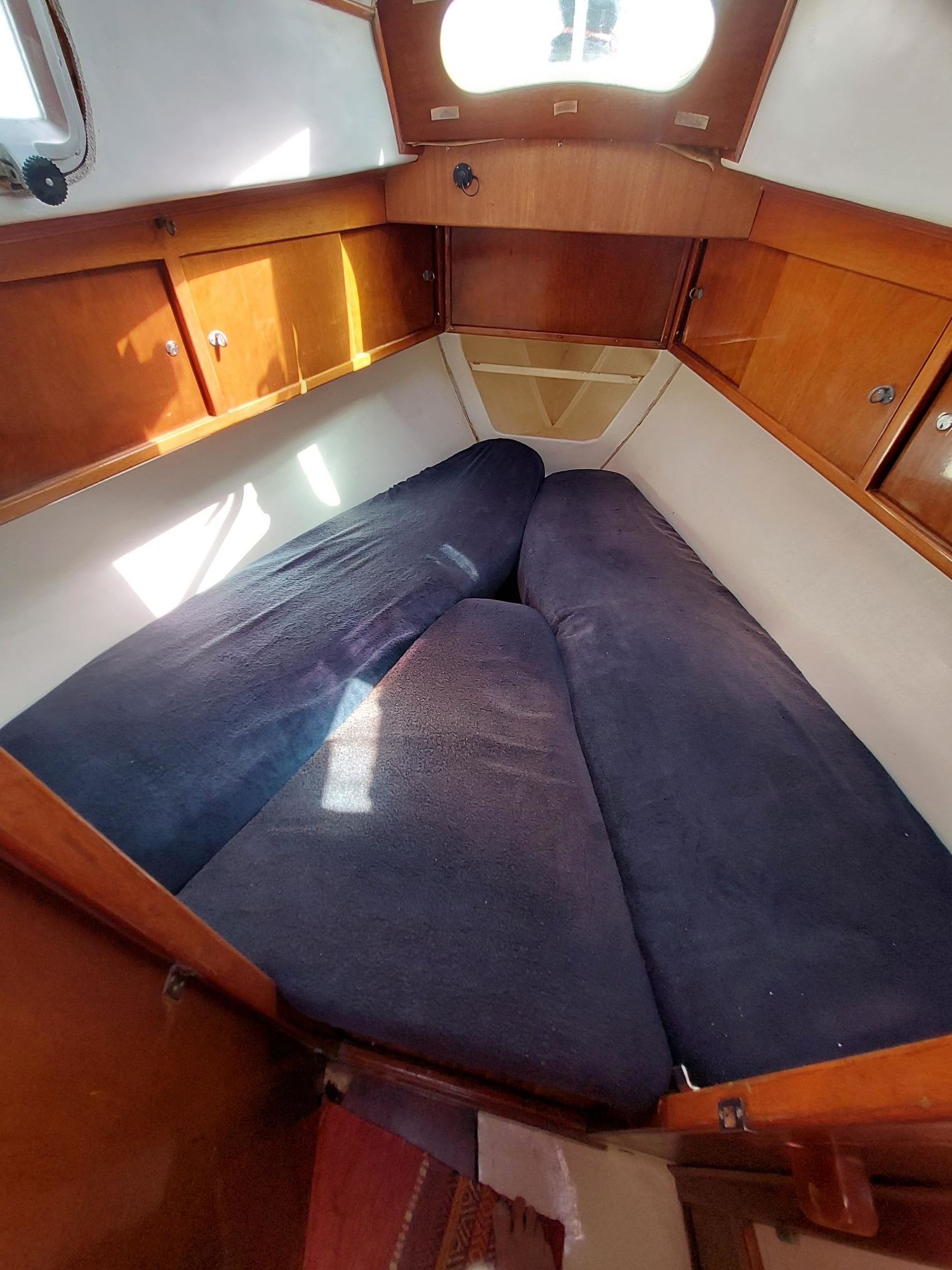 Amel Euros 41 | Maria Carola