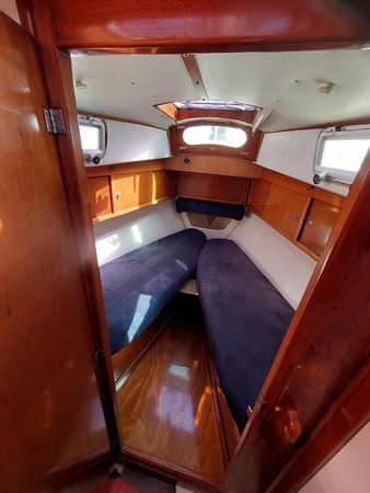 Amel Euros 41 | Maria Carola