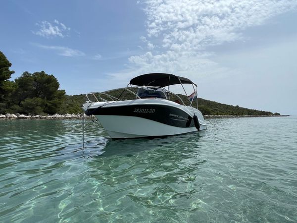 Barracuda 595 | Muka