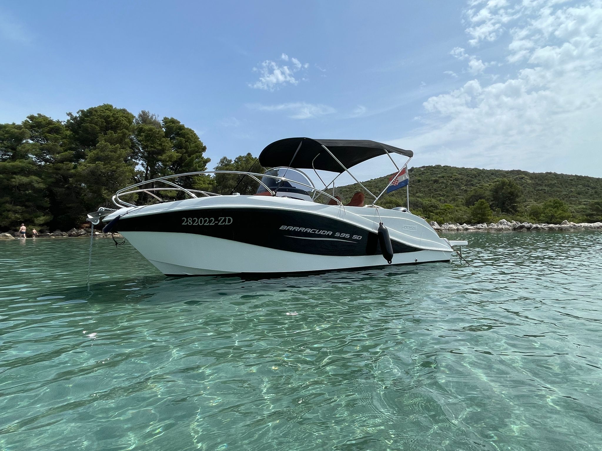 Barracuda 595 | Muka