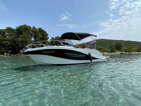 Barracuda 595 | Muka