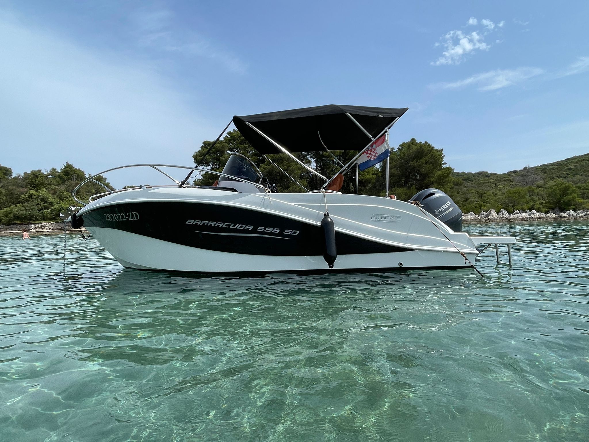 Barracuda 595 | Muka