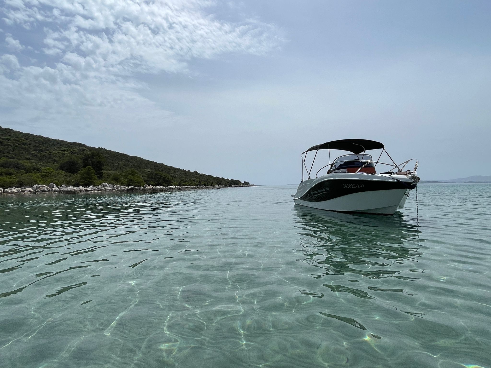 Barracuda 595 | Muka