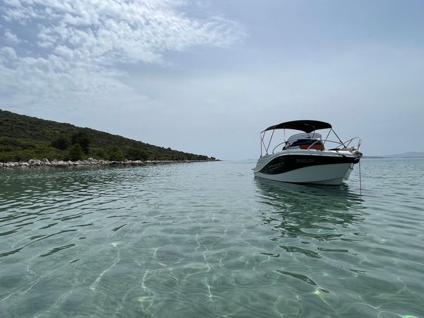 Barracuda 595 | Muka