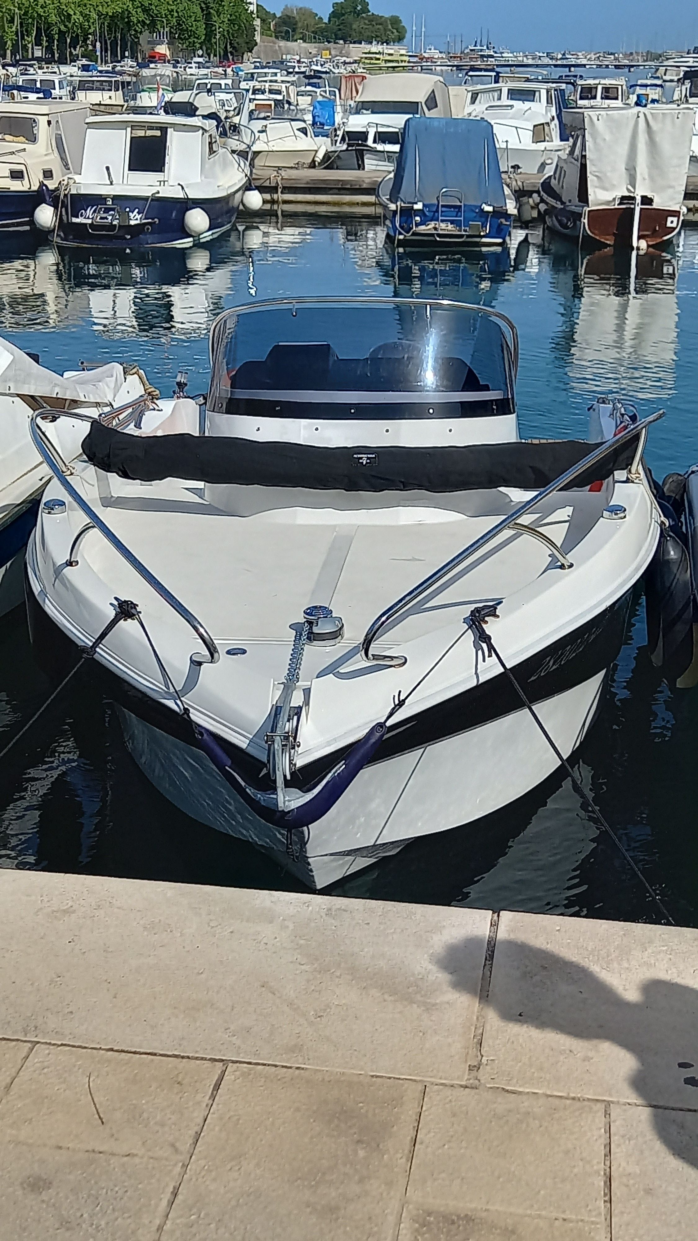 Barracuda 595 | Muka