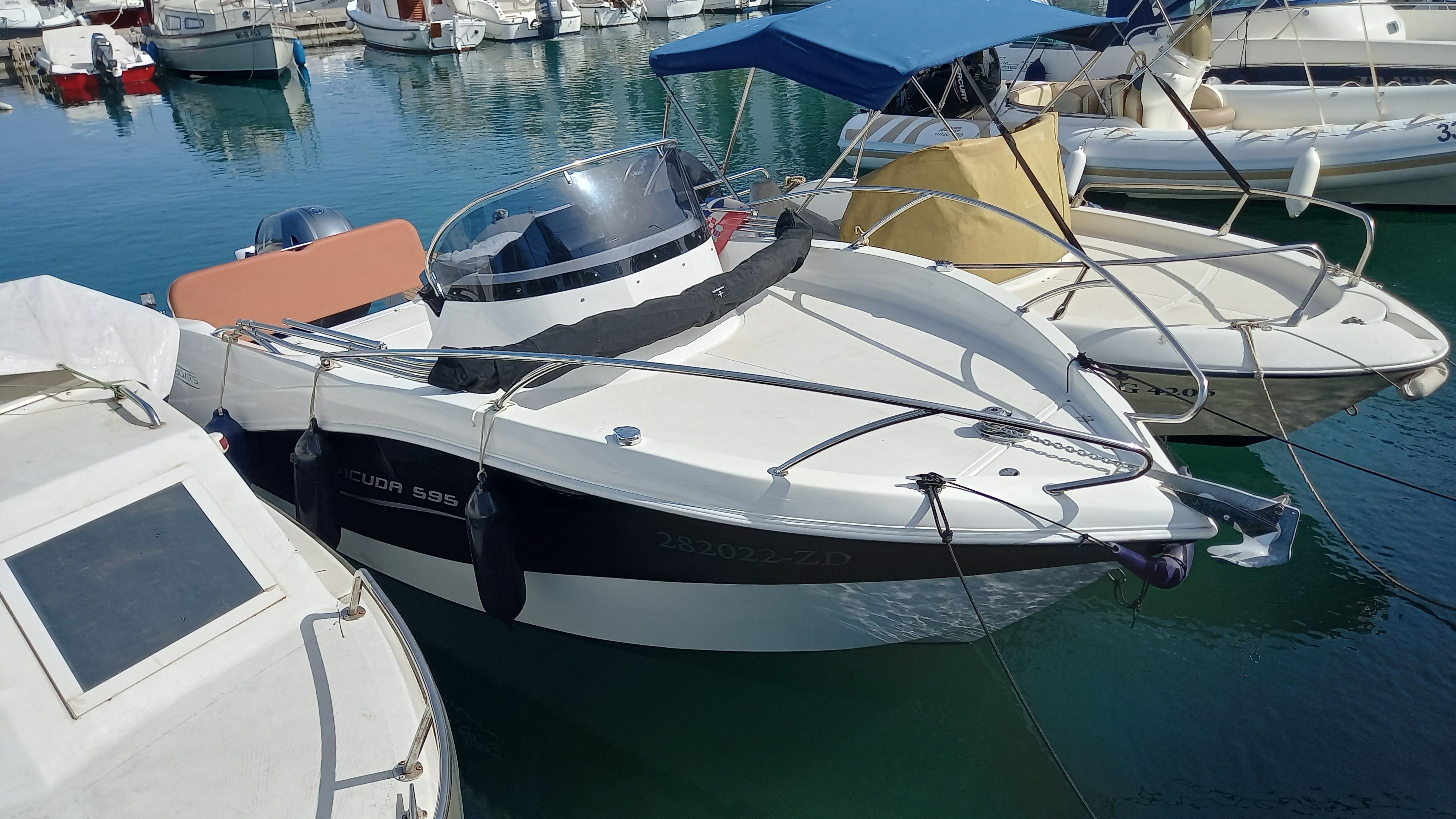 Barracuda 595 | Muka