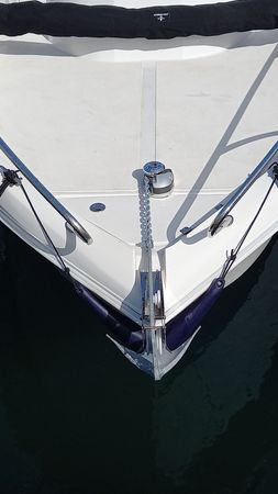 Barracuda 595 | Muka