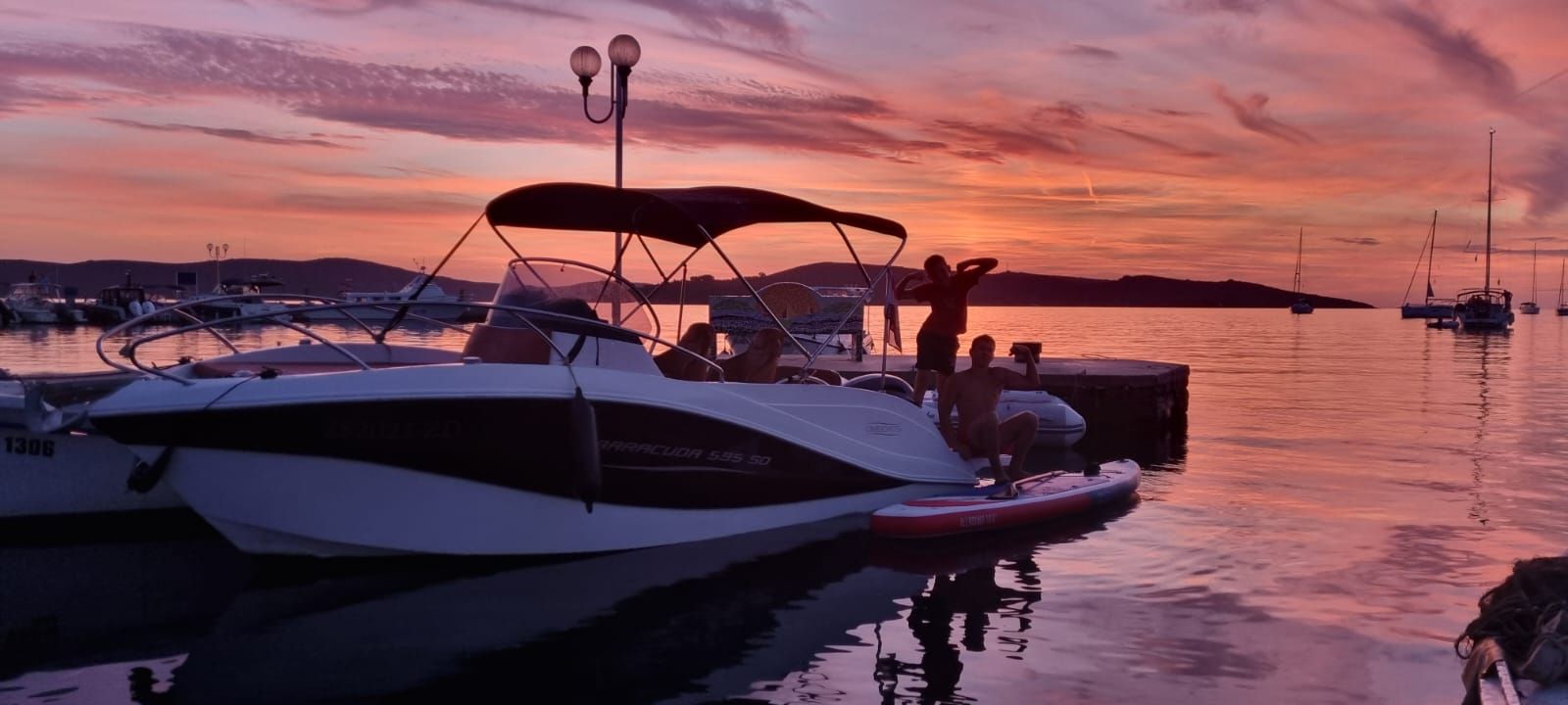 Barracuda 595 | Muka