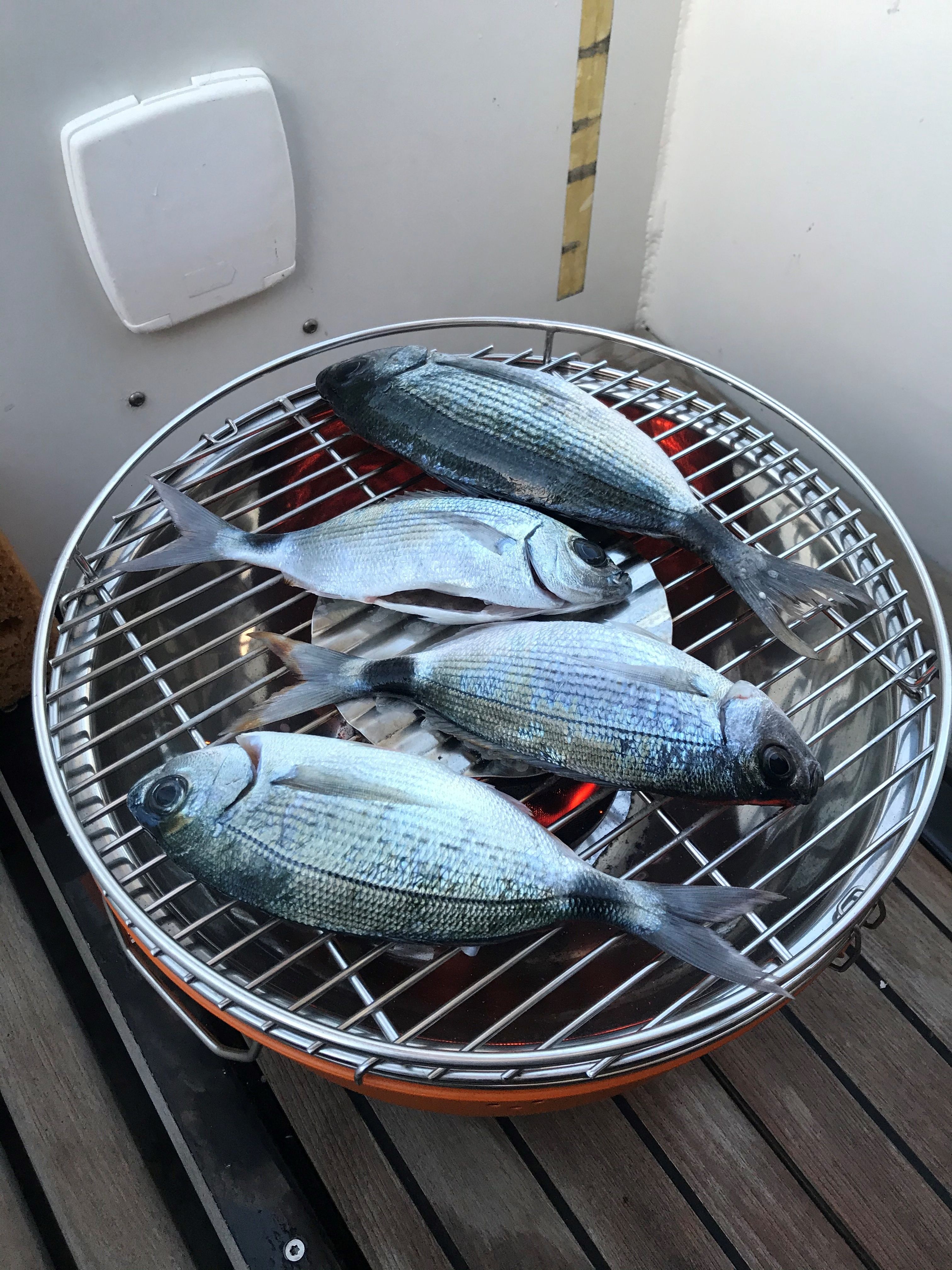 Meta Yachts JPB 52 | Pholothee