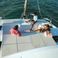 Bali Catspace | Steady Streamer