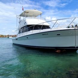 Riviera 49 | Marcelle