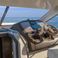 Sessa Fly 42 | Noa