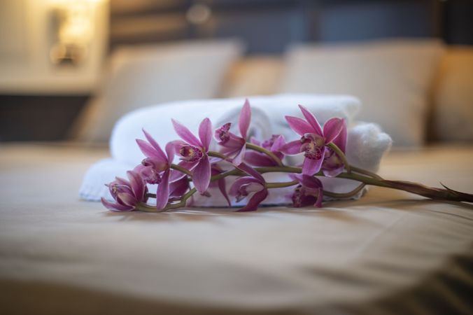 Dellapasqua DC 16 | Lululeo