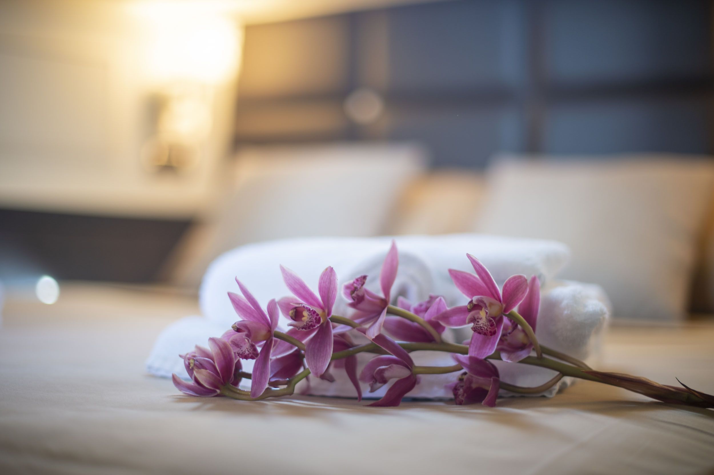 Dellapasqua DC 16 | Lululeo